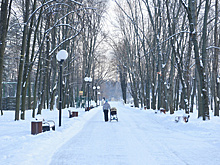 Без нелегалов, аллергии и шума – чем привлекает москвичей жизнь в Подмосковье