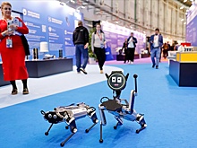 Академик Горбунова: Нужны механизмы привлечения в РФ молодых ученых-иностранцев