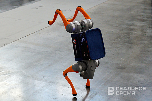 Конференция ЦИПР-2026 состоится в Нижнем Новгороде