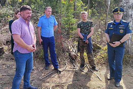 В Нижегородской области лесопатологическое обследование проведено на площади более трех тысяч гектаров