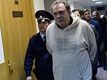 Выданного Австрией экс-чиновника Минкультуры доставили в Россию