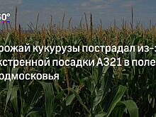 «Божье провидение». Как кукуруза спасла А-321