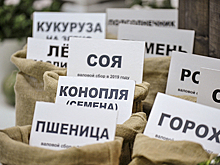 Минсельхоз и Минобрнауки утвердят «дорожную карту» по развитию отечественного семеноводства