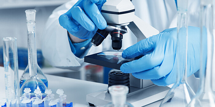 «Лихорадка ленивцев» оказалась способна передаваться половым путем