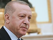 После разговора с Путиным Эрдоган созвонился с  Зеленским