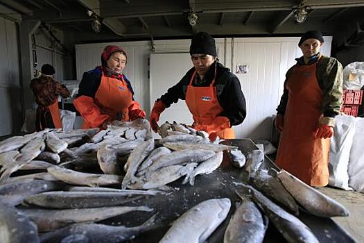 В Салехарде откроют оптово-распределительный центр хранения рыбы