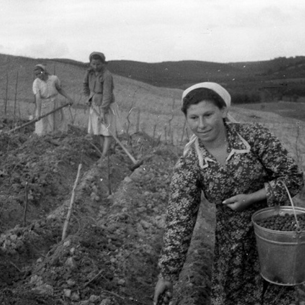 Почему советские колхозники до 1966 года не отличались от крепостных -  Рамблер/новости