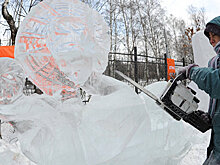В московских "Сокольниках" впервые появится ледовый конструктор