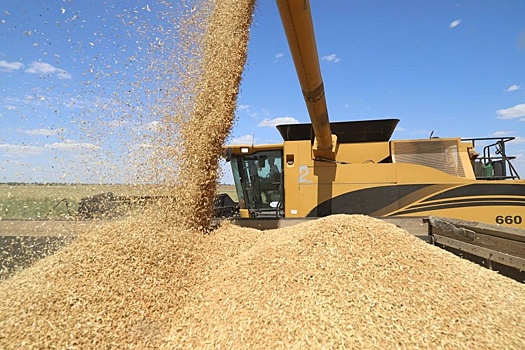 В Калмыкии собрали рекордный урожай