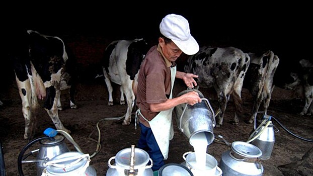 Акции China Huishan Dairy неожиданно рухнули на 85%