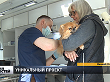 Мобильный ветеринарный кабинет начал бесплатный прием у экопунктов
