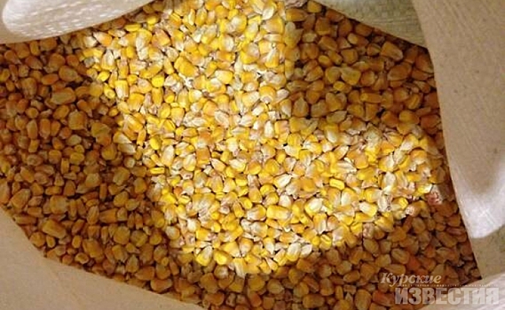 Рейд полиции и Россельхознадзора пресёк вывоз из Курской области 26 тонн кукурузы