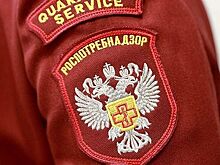 Роспотребнадзор проверил скандальный лагерь под Туапсе после сообщений детей о клопах