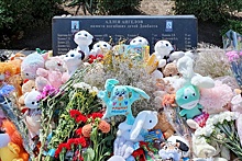 В России отметили День памяти детей - жертв украинской агрессии