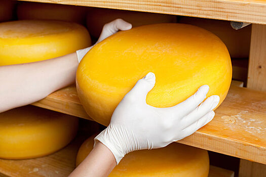 Швейцария экспортировала в Россию свыше 1 тысячи тонн сыра