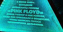 Одного из основателей Pink Floyd пригласят в Севастополь