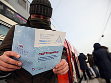 Роскомнадзор заблокировал более 150 сайтов по продаже сертификатов вакцинации