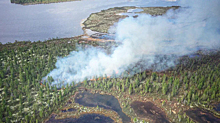 В Забайкалье за сутки потушили два лесных пожара на площади 455 га