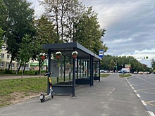 В Городском округе Пушкинский украсили остановки общественного транспорта живыми цветами