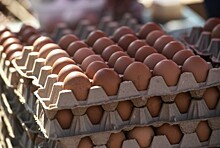 В «Росптицесоюзе» заявили о невозможности наращивания выпуска яиц