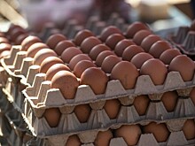 Подорожанию яиц нашли объяснение в Минсельхозе Ростовской области