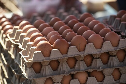 Подорожанию яиц нашли объяснение в Минсельхозе Ростовской области