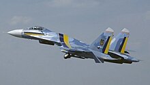 Участие военного США в управлении Су-27 на Украине могло быть связано с подготовкой провокации против России