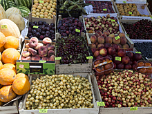 Ученые выбрали лучшую в мире диету