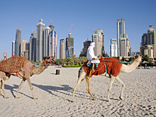 Власти ОАЭ решили поэтапно отменить антиковидные ограничения