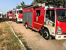 В Крыму локализовали крупный природный пожар на площади 118,6 га