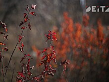 В Саратовской области снизят транспортный налог для 6,7 тысячи владельцев лодок и катеров