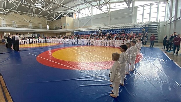 Более 350 человек стали участниками праздничного турнира по восточному боевому единоборству в Вологде