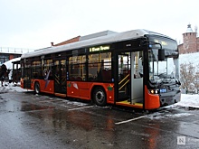Все 120 электробусов поступят в Нижний Новгород до конца марта