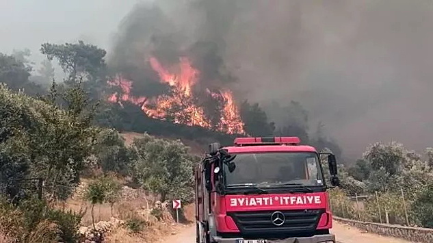 Задержанный в Турции сознался в поджоге леса в районе курорта Мармарис