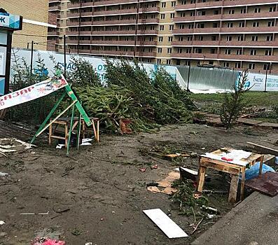 В Краснодаре накажут продавцов, которые бросили елки на улице