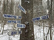 Премьеры в "партизанской" глубинке