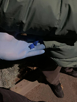 В Северной Осетии полицейскими Управления по контролю за оборотом наркотиков пресечена попытка сбыта наркотиков в крупном размере