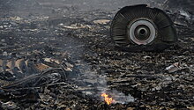 Крушение малайзийского самолета Boeing-777 в Донецкой области в 2014 году