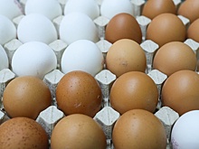 Польша предложила запретить импорт куриных яиц с Украины