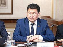 Российский сенатор назвал действия силовиков на митингах неправомерными и безграмотными