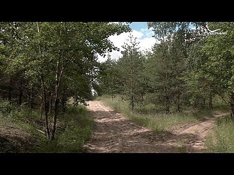 Мухи-трихограммы в лесах Самарской области борются с вредителями