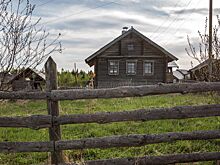 Эксперт посоветовал переселять детей в сельскую местность