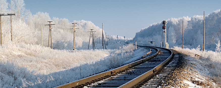 В Свердловской области поезд сбил женщину, которая спасала своего пса