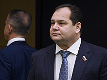 Совфед досрочно прекратил полномочия Гольдштейна