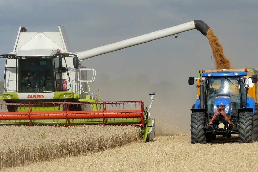 Мировое производство зерна в 2023-24 сельхозгоду вырастет на 1,1% — ФАО