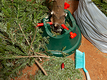 Россиян будут штрафовать за неправильно выброшенные ёлки