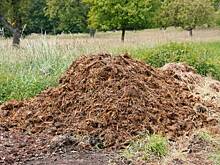 Навозом завалена территория мемориала в Кисловодске