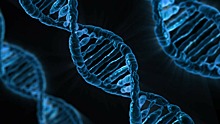 Какие генетические заболевания встречаются чаще всего?