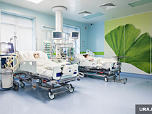 Вирусолог Чепурнов: штамма коронавируса «саперолог» не существует