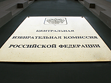 Электронное голосование. Мнения за и против